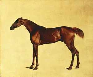 Pangloss